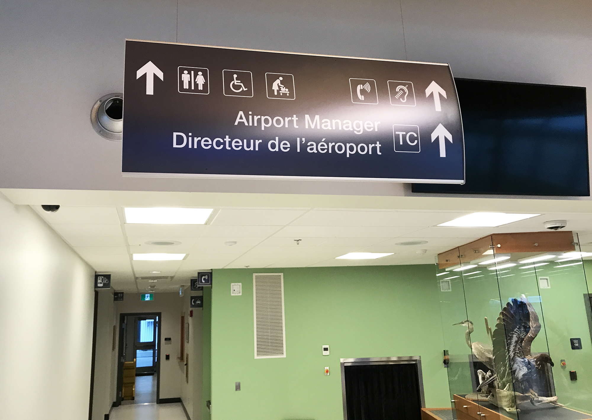 Port Hardy Airport - Internal Wayfinding and Taxidermy Display