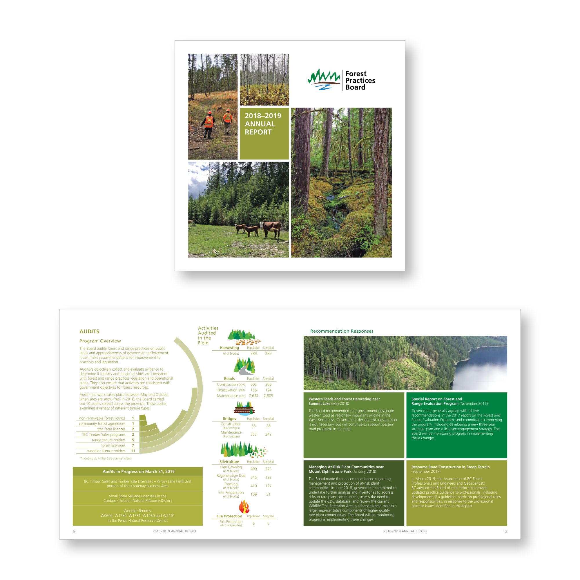 Forest Practices Board - 2018/19 Annual Report